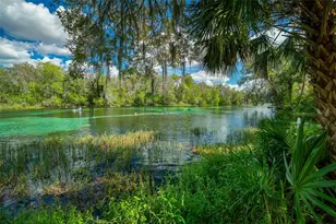 19735 SW 77th Loop, Dunnellon, FL 34432 - Photo 90