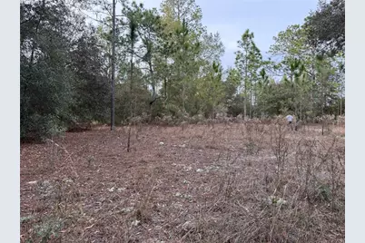 Tbd SE Audubon Avenue, Dunnellon, FL 34431 - Photo 4