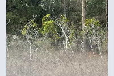 Tbd SE Audubon Avenue, Dunnellon, FL 34431 - Photo 8