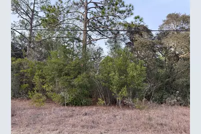 Tbd SE Audubon Avenue, Dunnellon, FL 34431 - Photo 10