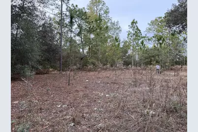Tbd SE Audubon Avenue, Dunnellon, FL 34431 - Photo 1