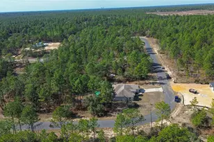 4239 W Dorchester Cir, Dunnellon, FL 34433 - Photo 8