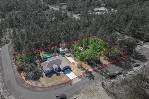 4239 W Dorchester Cir, Dunnellon, FL 34433 - Photo 4