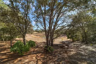 6 Malauka Circle, Ocklawaha, FL 32179 - Photo 38
