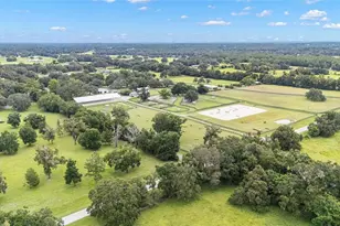 15151 & 15101 NW 162nd Terrace, Williston, FL 32696 - Photo 56