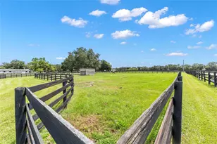15151 & 15101 NW 162nd Terrace, Williston, FL 32696 - Photo 74