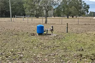 4751 NE 147th Ct, Williston, FL 32696 - Photo 20