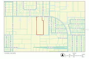 9900 SE Sunset Harbor Rd, Summerfield, FL 34491 - Photo 44