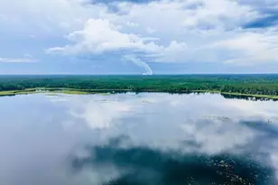 15991 NE 243rd Pl Rd, Fort Mc Coy, FL 32134 - Photo 26