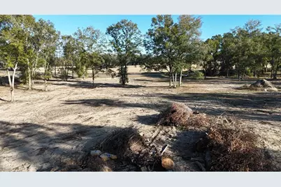 15330 47th Avenue SE, Summerfield, FL 34491 - Photo 4