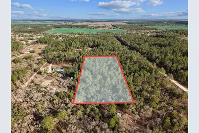 Se 126 Avenue, Morriston, FL 32668 - Photo 4