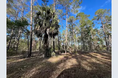 Se 126 Avenue, Morriston, FL 32668 - Photo 16