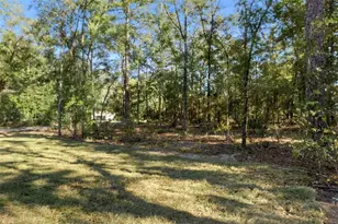 298 W Baker Pl, Citrus Springs, FL 34434 - Photo 42