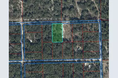 Tbd NE 80th Street, Bronson, FL 32621 - Photo 2