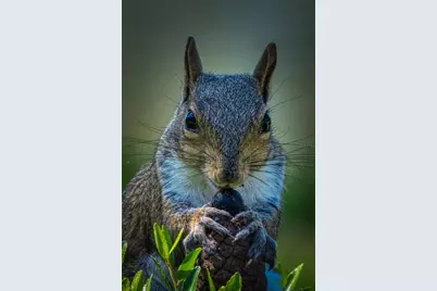 515 Midway Drive #A, Ocala, FL 34472 - Photo 44