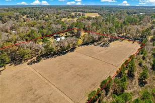 9145 NW 193 St, Micanopy, FL 32667 - Photo 78