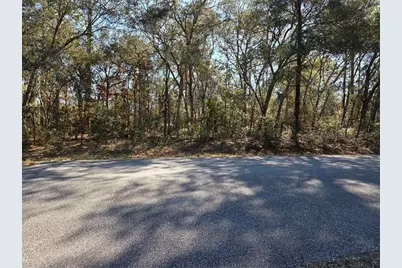 3686 W Parkview Drive, Dunnellon, FL 34433 - Photo 2