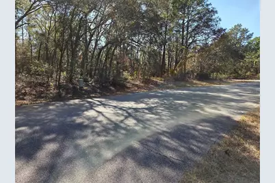 3686 W Parkview Drive, Dunnellon, FL 34433 - Photo 8