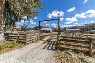14245 SE 25th Ave, Summerfield, FL 34491 - Photo 50