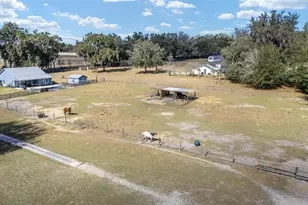 14245 SE 25th Ave, Summerfield, FL 34491 - Photo 60