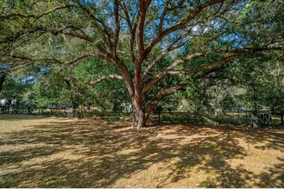 13181 NE 39th Terrace, Anthony, FL 32617 - Photo 34