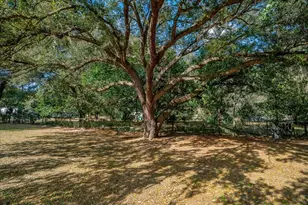 13181 NE 39th Terrace, Anthony, FL 32617 - Photo 34