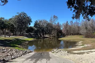 5335 SE 186th Ct, Ocklawaha, FL 32179 - Photo 48