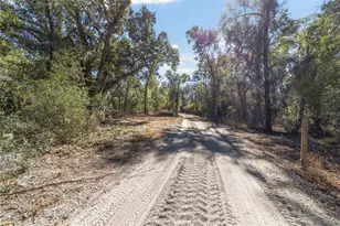 39742 Carolina Ave, Lady Lake, FL 32159 - Photo 40