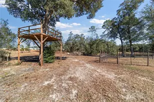 39742 Carolina Ave, Lady Lake, FL 32159 - Photo 34