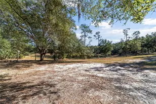 39742 Carolina Ave, Lady Lake, FL 32159 - Photo 36