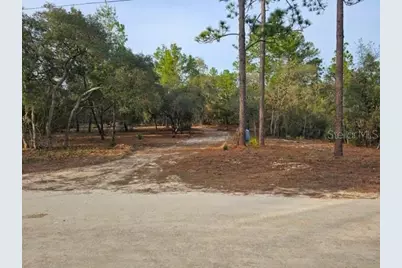 6341 W Stockholm Lane, Dunnellon, FL 34433 - Photo 2