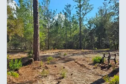 6341 W Stockholm Lane, Dunnellon, FL 34433 - Photo 20