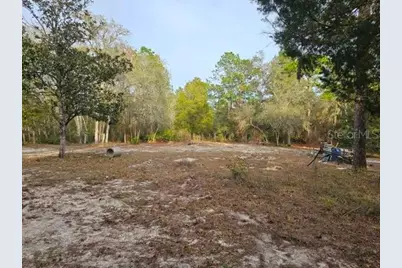 6341 W Stockholm Lane, Dunnellon, FL 34433 - Photo 8