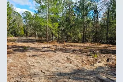 6341 W Stockholm Lane, Dunnellon, FL 34433 - Photo 18