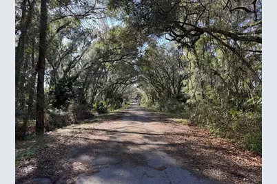 Sequoia Loop Track, Ocklawaha, FL 32179 - Photo 6