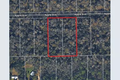 3767 & 3739 Apple Avenue, Bunnell, FL 32110 - Photo 2