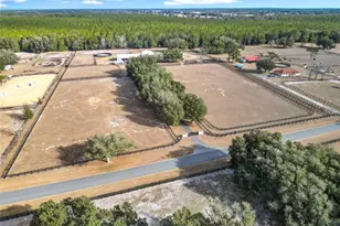 21051 SE 42nd St, Morriston, FL 32668 - Photo 30