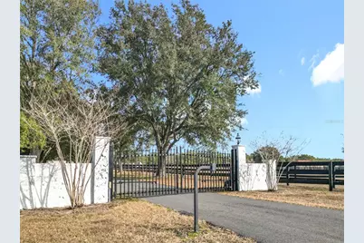 21051 SE 42nd Street, Morriston, FL 32668 - Photo 10