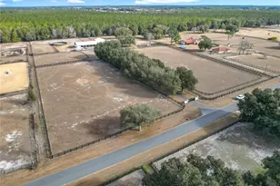 21051 SE 42nd St, Morriston, FL 32668 - Photo 34