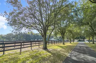 21051 SE 42nd St, Morriston, FL 32668 - Photo 18