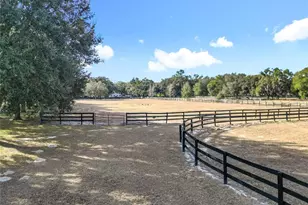 21051 SE 42nd St, Morriston, FL 32668 - Photo 38