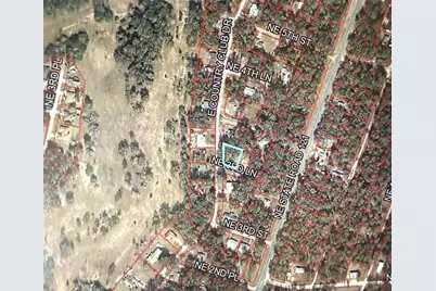 15331 NE 3rd Lane, Williston, FL 32696 - Photo 6