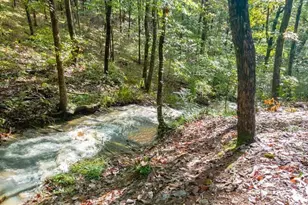 163 Sequoia Trce, Cleveland, GA 30528 - Photo 32