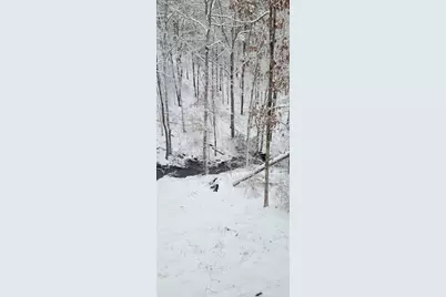 163 Sequoia Trace, Cleveland, GA 30528 - Photo 26