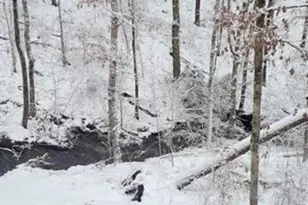 163 Sequoia Trce, Cleveland, GA 30528 - Photo 26