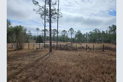 13391 NE 43rd Lane, Williston, FL 32696 - Photo 8