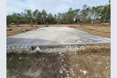 13391 NE 43rd Lane, Williston, FL 32696 - Photo 10