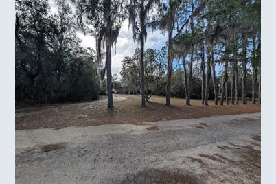 13668 NE 226th Avenue Road, Salt Springs, FL 32134 - Photo 2