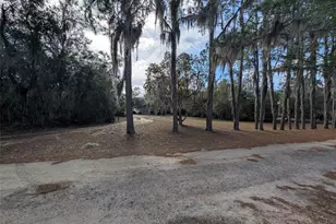 13668 NE 226th Avenue Rd, Salt Springs, FL 32134 - Photo 2