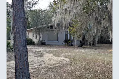 13668 NE 226th Avenue Road, Salt Springs, FL 32134 - Photo 1